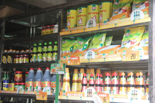 創新引領卓越質量，小食品生產線贏得客戶信賴